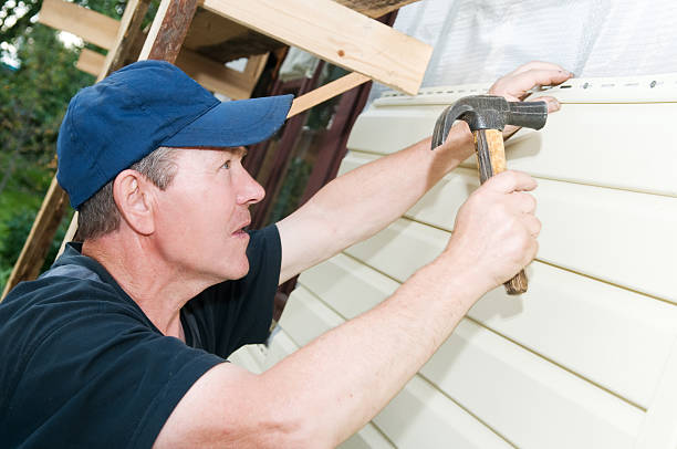 Best Vinyl Siding Installation  in Holt, AL